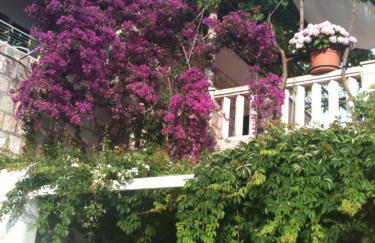 Apartments Villa Hansal - Photo 10