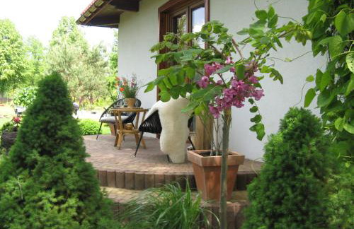 Siedlisko Gruszki Puszcza Białowieska - Foto 5