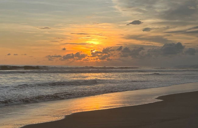 Sofy House - Photo 31