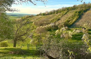 Ickelhaus 2 - Foto 8