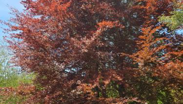 Lorica Suite Lago - Foto 4