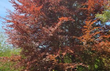 Lorica Suite Lago - Foto 4