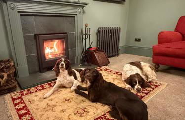 Lane End Cottage - Kirkby Lonsdale - Foto 27