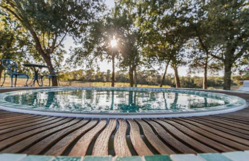 Más Figueres - Foto 35