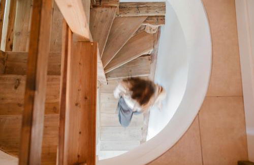 Revo Aparments - Flowery Cottage Appartamento GLICINE - Foto 28