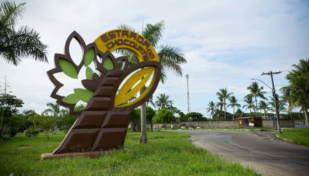 Day Trip to a Cocoa Farm - Photo 2
