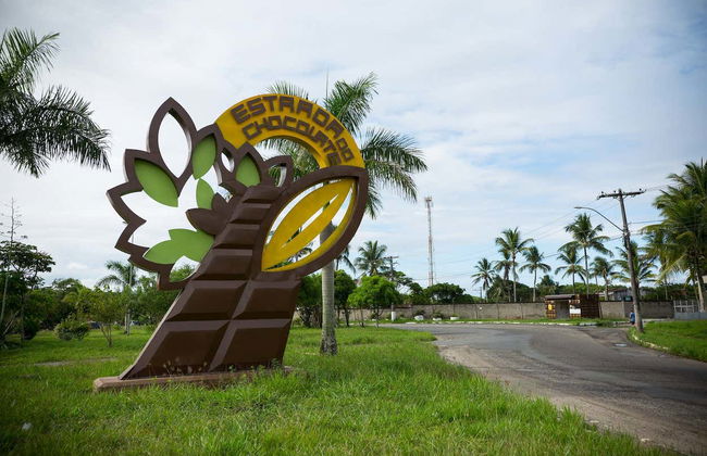 Day Trip to a Cocoa Farm - Photo 2