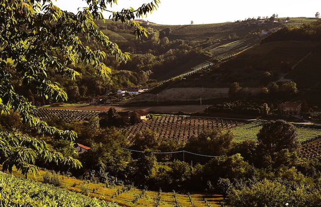 Villa Garassino - Foto 25
