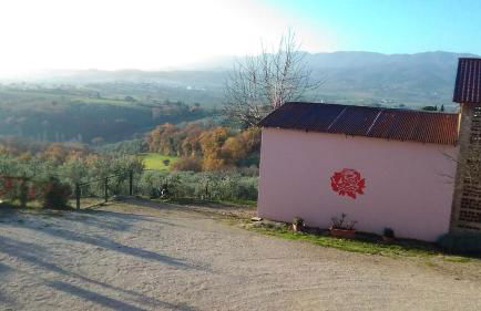 Agriturismo La Rosa Montefalco - Foto 13