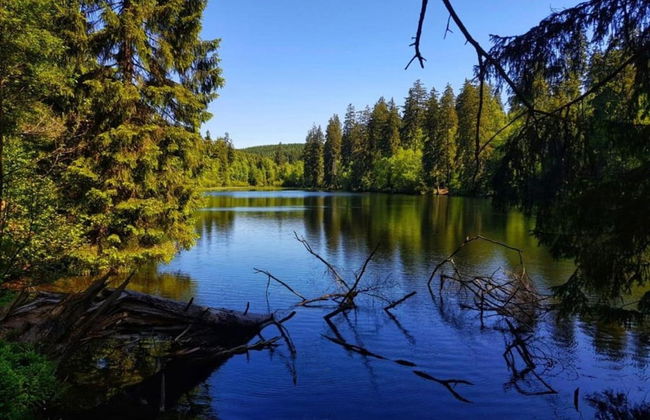 Kurzurlaub in Bockswiese, Hahnenklee - Foto 27