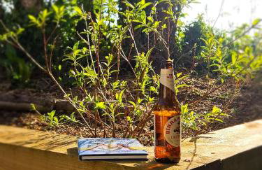 The Byre At Springbank - Foto 34