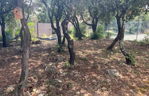 Villa CarpeDiem Cévennes - piscine & terrain tennis - Photo 39