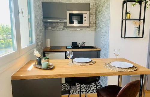 Le Wild, Superbe studio au bord de la vilaine - Foto 7