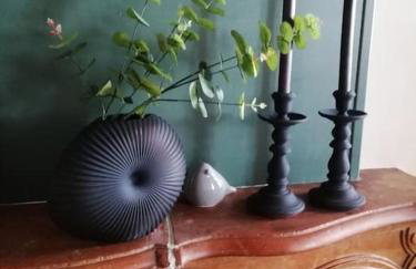 La Maison aux volets bleus 37 m3, Bords de Saône - Foto 9