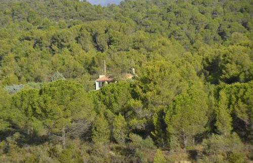 La petite Cigale - Foto 1