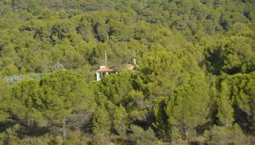 La petite Cigale - Foto 1