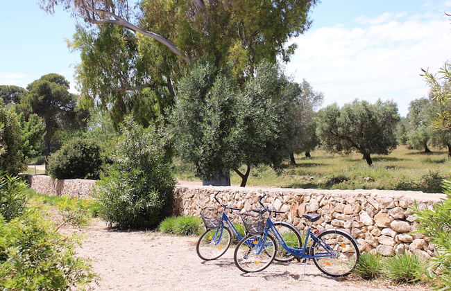 TerreAmare Agriturismo - Photo 52