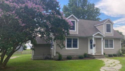 Crepe Myrtle - Foto 1