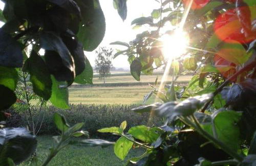 Ja, das gönn' ich mir. Sauna, Natur - alles hier. - Foto 17