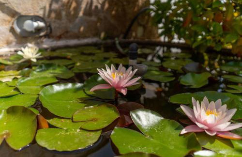 Appartamento Amare 1 - Foto 6