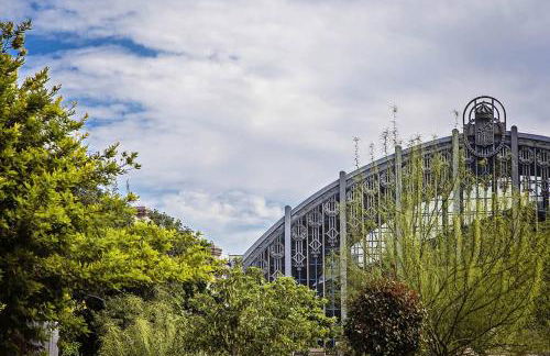 Sweett - Wellington - Foto 18