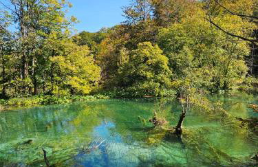 Luxury Apartment Megy - Foto 8