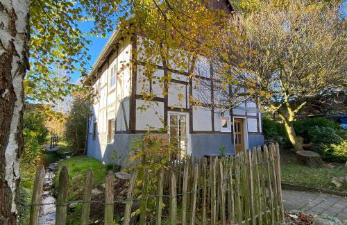 Gemütliches Ferienhaus im Extertal/ Lippe - Foto 2