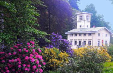 Rapunzel trifft Dornröschen - Foto 15