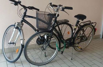 appartement cocon à Quiberon dans résidence calme, plages et centre ville à pied ou à vélo pour 2 à 4 personnes - Foto 14