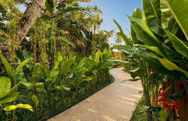 Triyana Resort and Glamping - Foto 25
