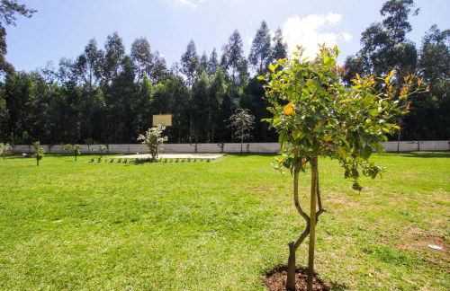 River house in Vila Nova Cerveira - Foto 41