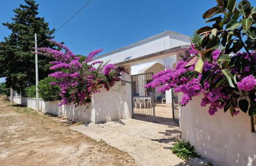 Villa Carmela a San Pietro in Bevagna (TA) - Foto 9