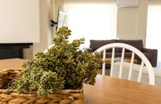 Dream Day Villa - Foto 31