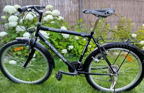 Domek ZOZO nad jeziorem w Okuniowcu - Foto 73