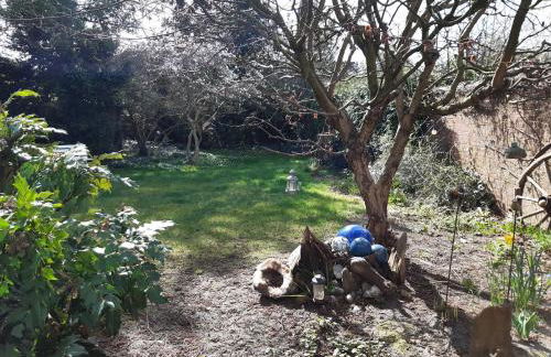 Ferienwohnung im Hasetal - Foto 15