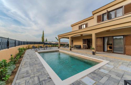 Pecora Nera - Photo 46