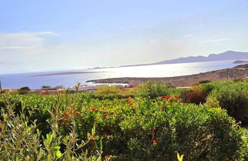 Paros Afrodite Luxury Villas - Photo 18