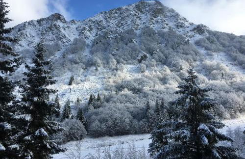 Val di Luce - Delizioso appartamento 6 posti letto - Accesso diretto alle piste da sci - Foto 22
