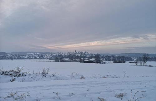 Ferienwohnung Schneider - Foto 22