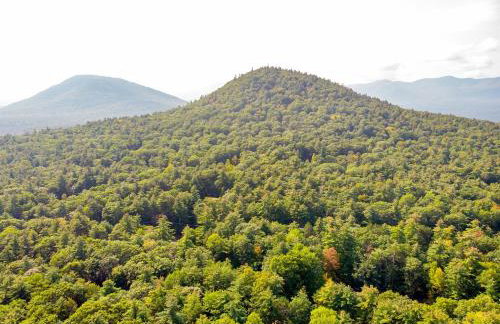 Luxury ADK Retreat Near Whiteface, Lake Placid - Foto 62