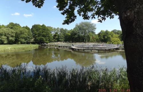 Ferienwohnung Borchert - Foto 49