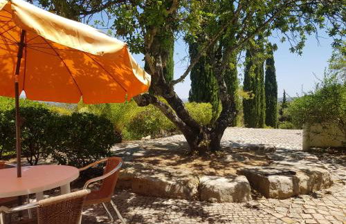 Monte-Bougainvillea - Foto 60