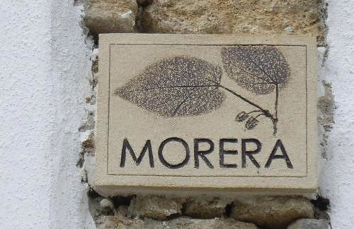 El Huertecillo - Foto 24