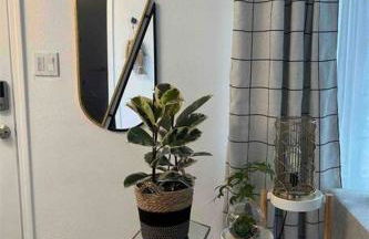 Tiki Escape w/ Amazing Mountain and Marsh Backdrop - Foto 22