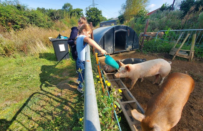Dartmoor Reach Alpaca Farm - Foto 19