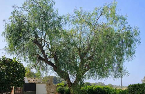 Paolo&Claudia - La Casa Di Mare by Salento Mare Cielo Travel Slow Live More - Photo 6