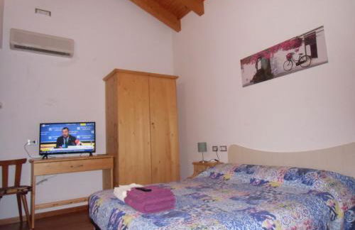 Agriturismo il Podere Vedelago con San Bernardo, Alpaca e una Pentola di cose da scoprire - Foto 34