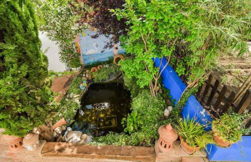 Vega’s Love - Foto 24