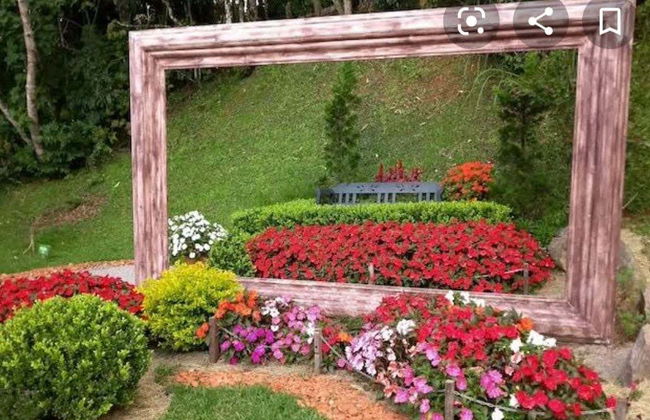 Tour panoramico di Campos do Jordão + Parco Amantikir - Foto 5