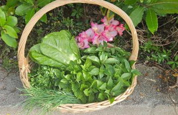 Podere Miray - Foto 16